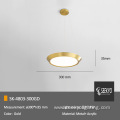 Simple Circular Lighting LED Ceiling Pendant Light